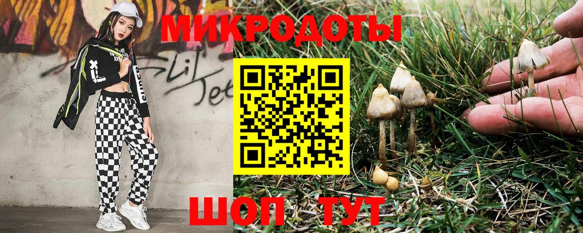 Галлюциногенные грибы Cubensis  Вход с VPN  Артём  Галлюциногенные грибы мухоморы 